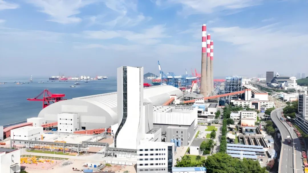 1743386016334012751.jpg 640 (1).jpg